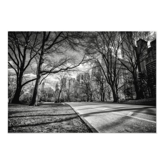 Impression Photo Central Park, New York (Devant)