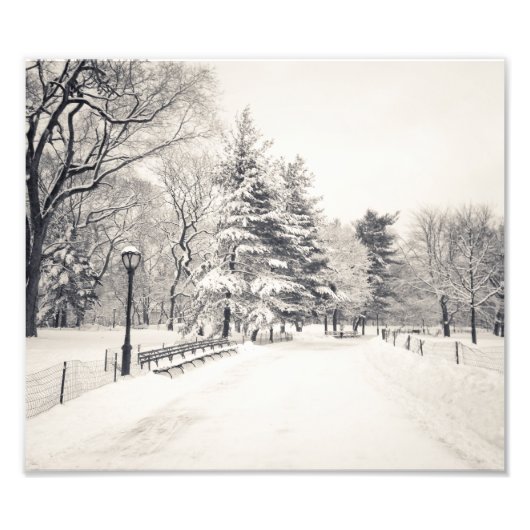 Impression Photo Central Park Winter Path - New York City (Devant)