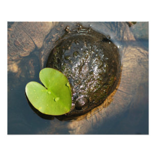 Impression Photo Centré