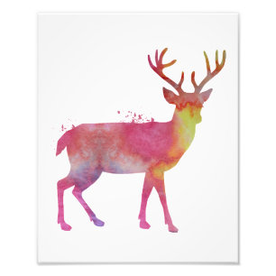 Impression Photo Cerf