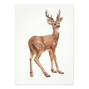 Impression Photo Cerf