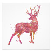 Impression Photo Cerf Animal Forêt Faune Sauvage Nature Monde Terre (Devant)