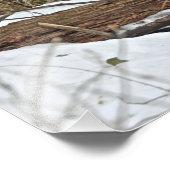 Impression Photo Cerf Blanc En Neige (Coin)