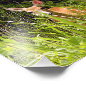 Impression Photo Cerf dans les herbes (Coin)