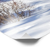 Impression Photo Cerf De Virginie Qui Vous Regarde (Coin)