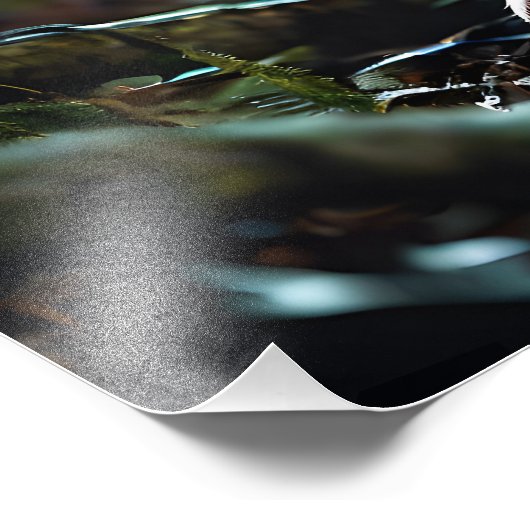 Impression Photo Cerf mignon (Coin)