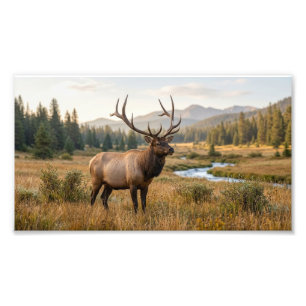 Impression Photo Cerf Sauvage Dans Un Paysage De Montagne Scénique