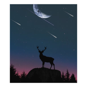Impression Photo cerfs au clair de lune