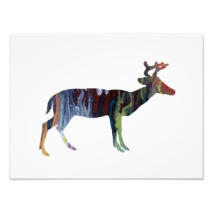Impression Photo Cerfs communs