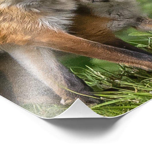 Impression Photo C'est mon père (Coin)