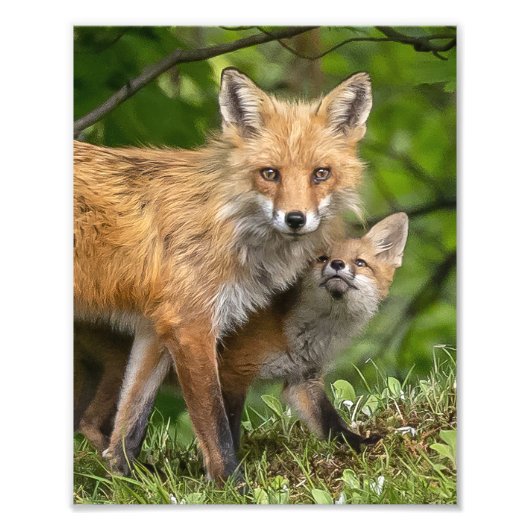 Impression Photo C'est mon père (Devant)