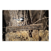 Cet endroit est pour les oiseaux