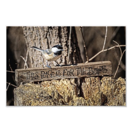 Impression Photo Cet endroit est pour les oiseaux (Devant)