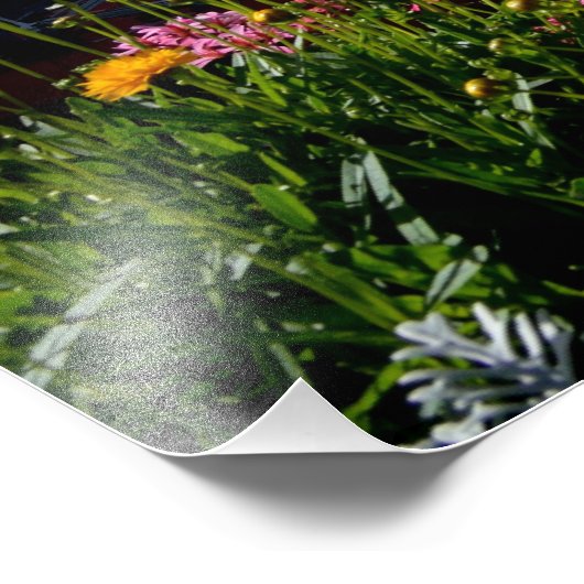 Impression Photo Chamonix, France (Coin)