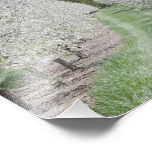 Impression Photo Champ Cherry Tree Blossoms Porte Comté Imprimer (Coin)