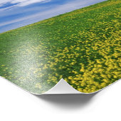 Impression Photo Champ de fleurs de canola ou de moutarde, Palouse (Coin)