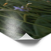 Impression Photo Champ de fleurs sauvages (Coin)