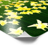 Impression Photo Champ de jonquilles - peinture (Coin)