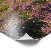 Impression Photo Champ de lupine, Mt Olympus et nuages à (Coin)