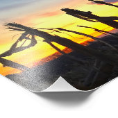 Impression Photo Champ de maïs couché (Coin)