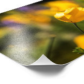 Impression Photo Champ de pavots dansants (Coin)