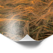 Impression Photo Champ d'orge en maturation le long des montagnes R (Coin)