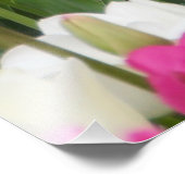 Impression Photo champ plein de tulipes (Coin)