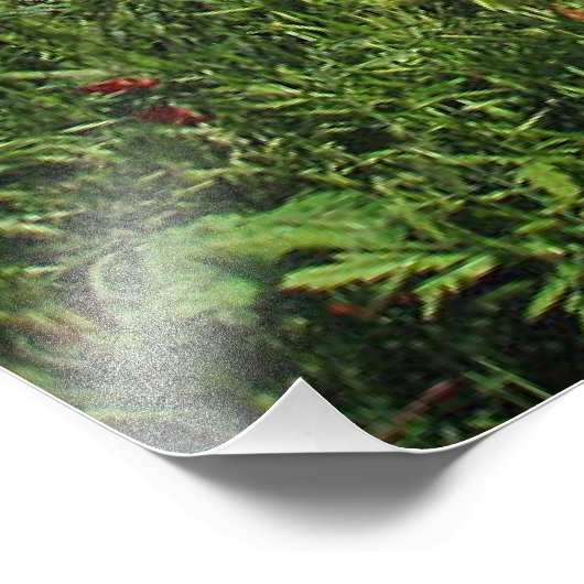 Impression Photo Champ Poppy (Coin)