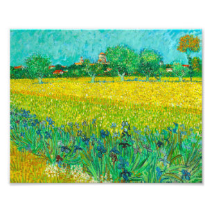 Impression Photo Champ Van Gogh avec Irises près d'Arles