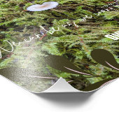 Impression Photo Champignon Belknap avec devis - Frameable (Coin)