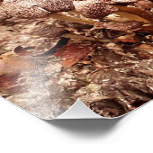 Impression Photo Champignons de souche (Coin)