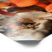 Impression Photo Champignons sauvages orange 10x8 Nature (Coin)