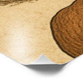 Impression Photo Champignons vintages (Coin)