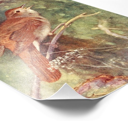 Impression Photo Chant nocturne (Coin)