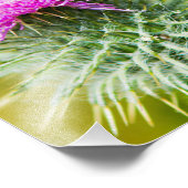 Impression Photo Chardon écossais (Coin)