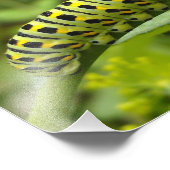 Impression Photo Chariot de soutien de Tigre Est (Coin)