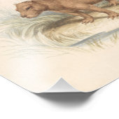 Impression Photo Charles Hamilton Smith - La Capybara (Coin)