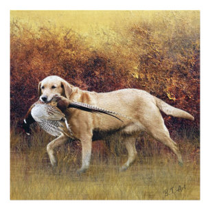 Impression Photo Chasse faisan, Faux Canvas Automne Imprimer Acryli