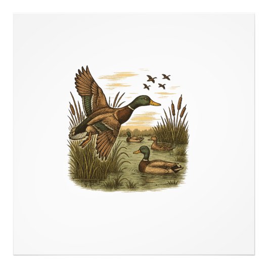 Impression Photo Chasse-Rétro-Volant-Caner-Colvert (Devant)