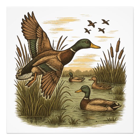 Impression Photo Chasse-Rétro-Volant-Caner-Mallard, (Devant)