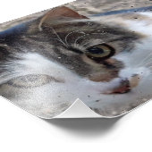 Impression Photo Chat à la fenêtre (Coin)