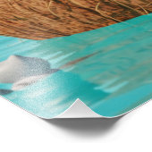 Impression Photo Chat calicot mignon sur l'île de Coco – Océan Kawa (Coin)