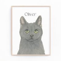 Chat Chartreux Gris Personnalisé