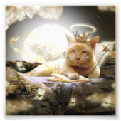 Impression Photo Chat dans le ciel Imprimés photos. (Devant)