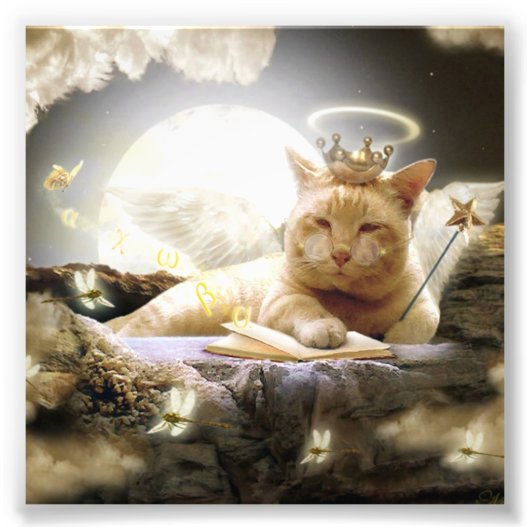 Impression Photo Chat dans le ciel Imprimés photos. (Devant)