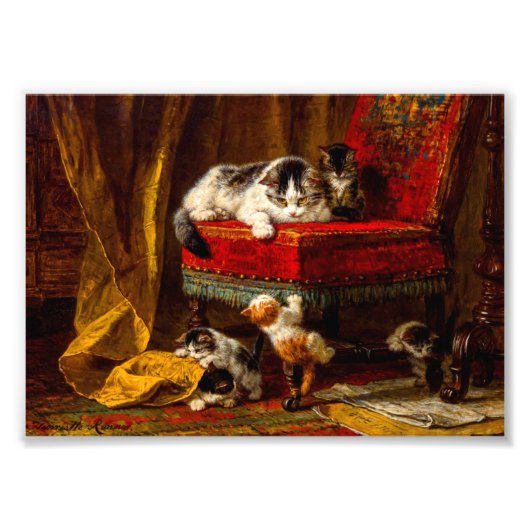 Impression Photo Chat et chatons Jouer avec chaise (Devant)