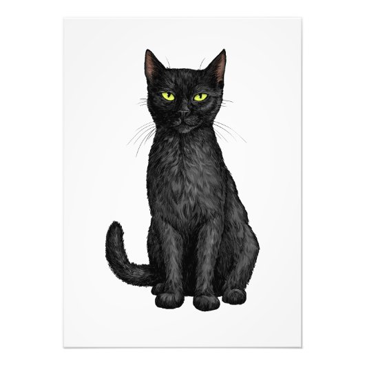 Impression Photo chat noir (Devant)