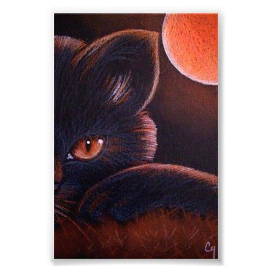 IMPRESSION PHOTO CHAT NOIR HALLOWEEN AVEC IMPRIMANTE MOON ORANGE 4" (Devant)