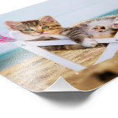 Impression Photo Chat reposant sur une chaise longue (Coin)