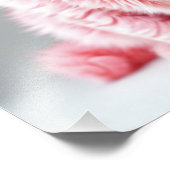 Impression Photo Chat rose (Coin)